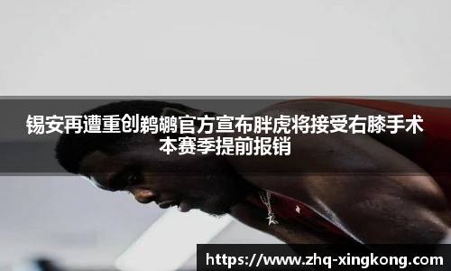星空体育官网