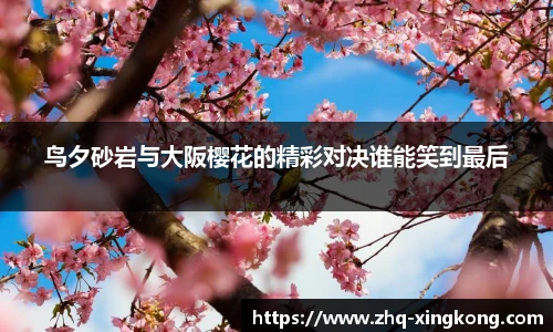 星空体育官方网站